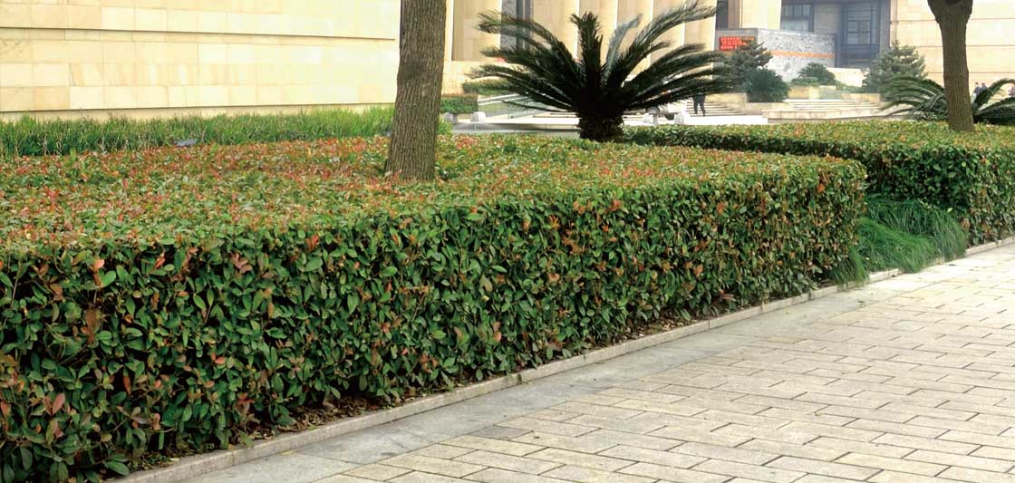 工程案例 工程案例