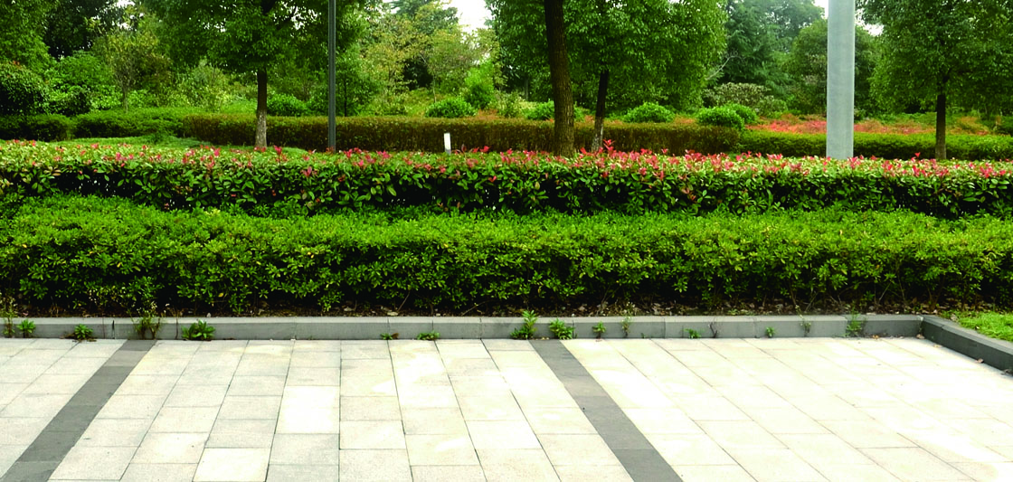 工程案例 工程案例